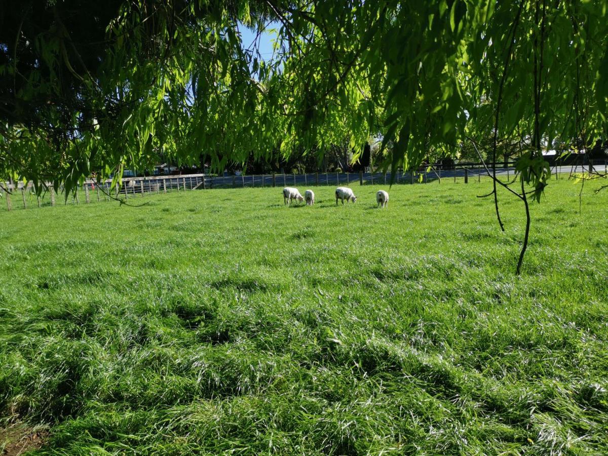 Farm Stay On Te Awa Cycleway Tamahere Bagian luar foto