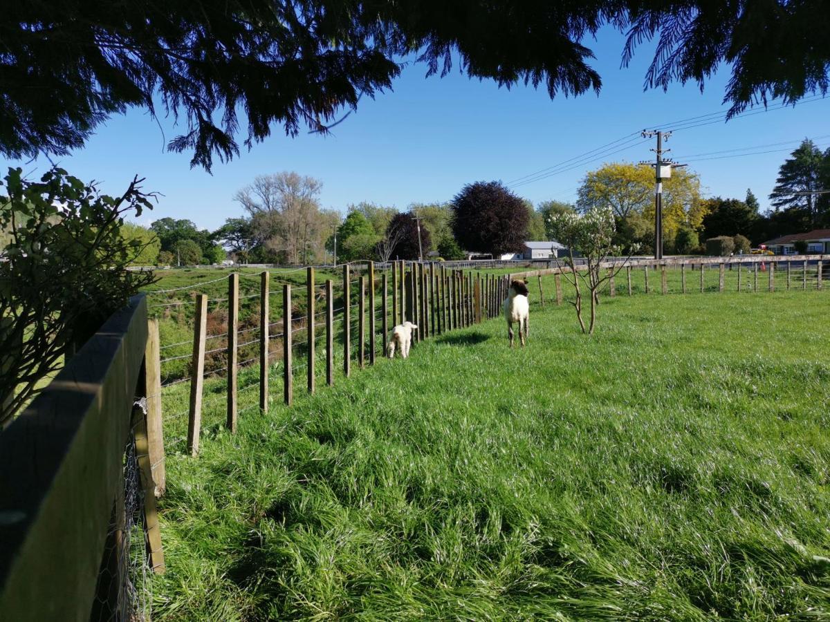 Farm Stay On Te Awa Cycleway Tamahere Bagian luar foto