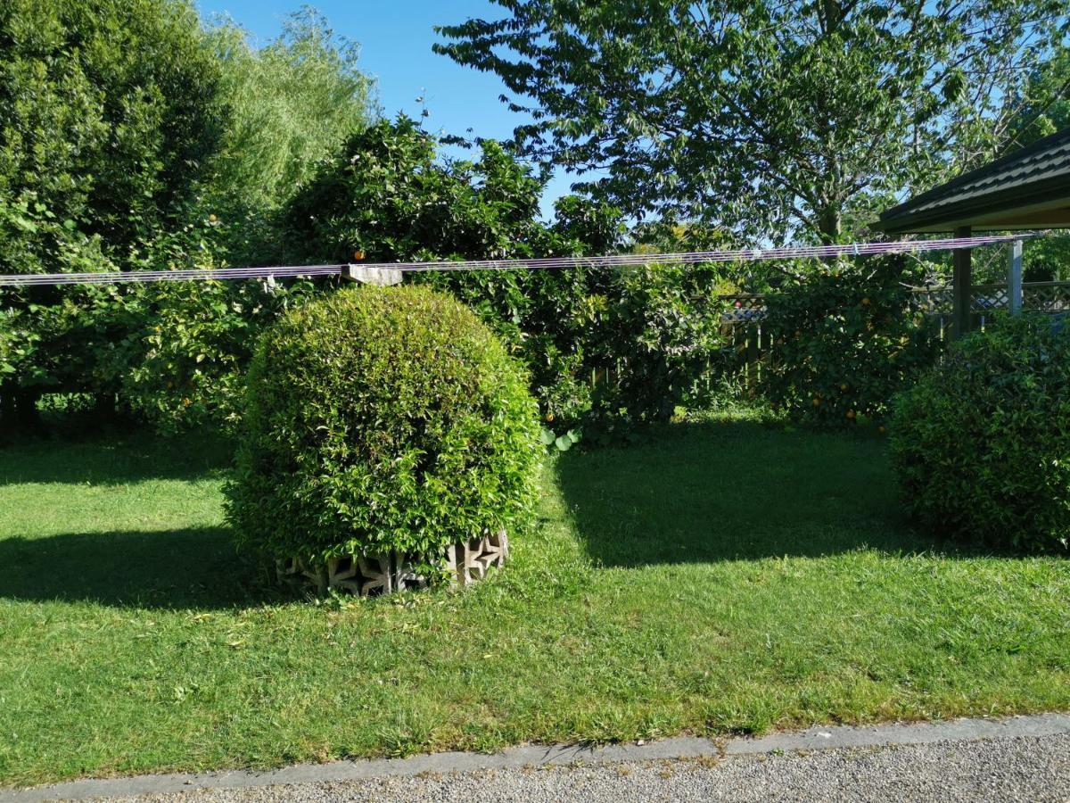 Farm Stay On Te Awa Cycleway Tamahere Bagian luar foto