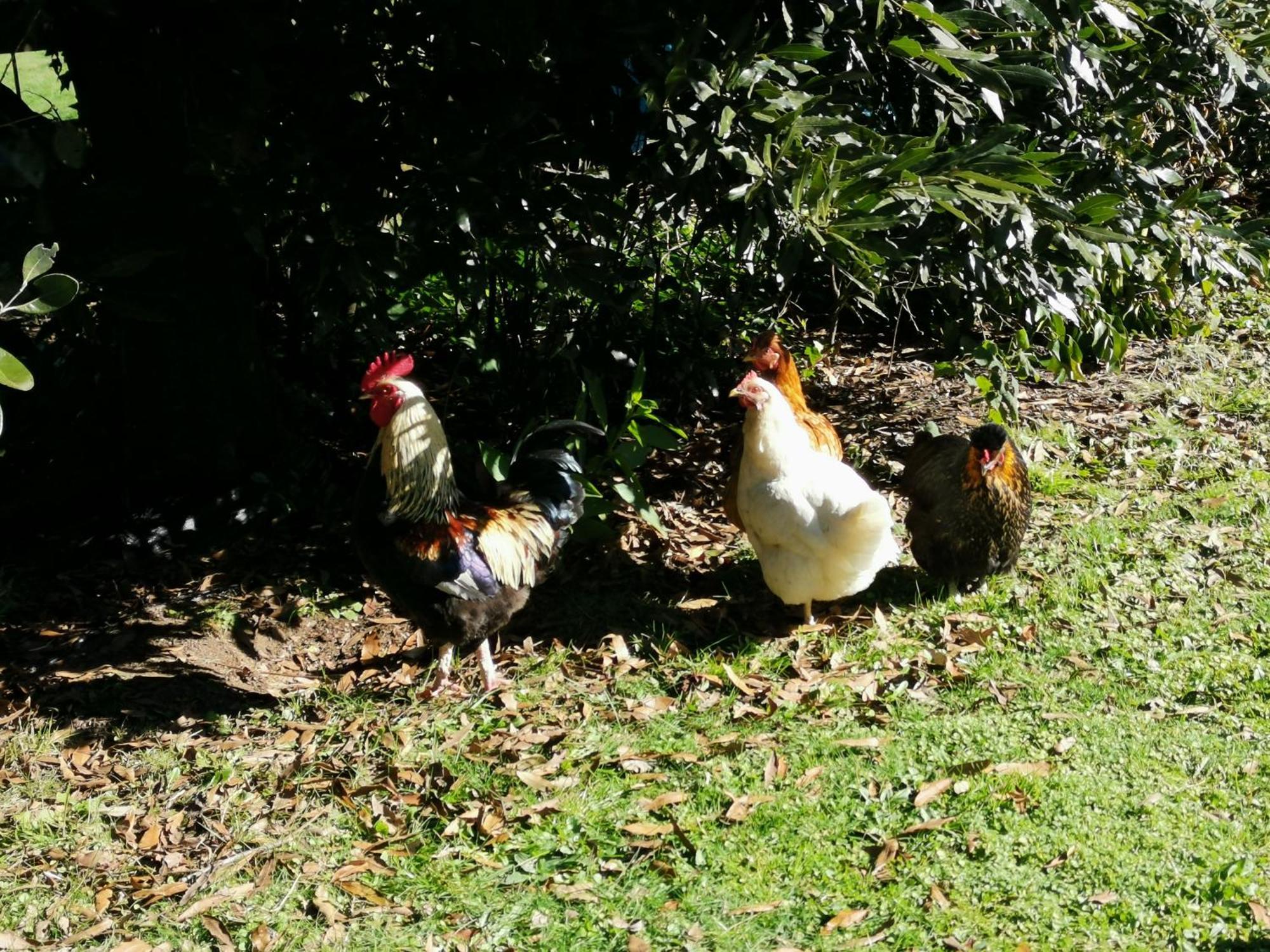 Farm Stay On Te Awa Cycleway Tamahere Bagian luar foto