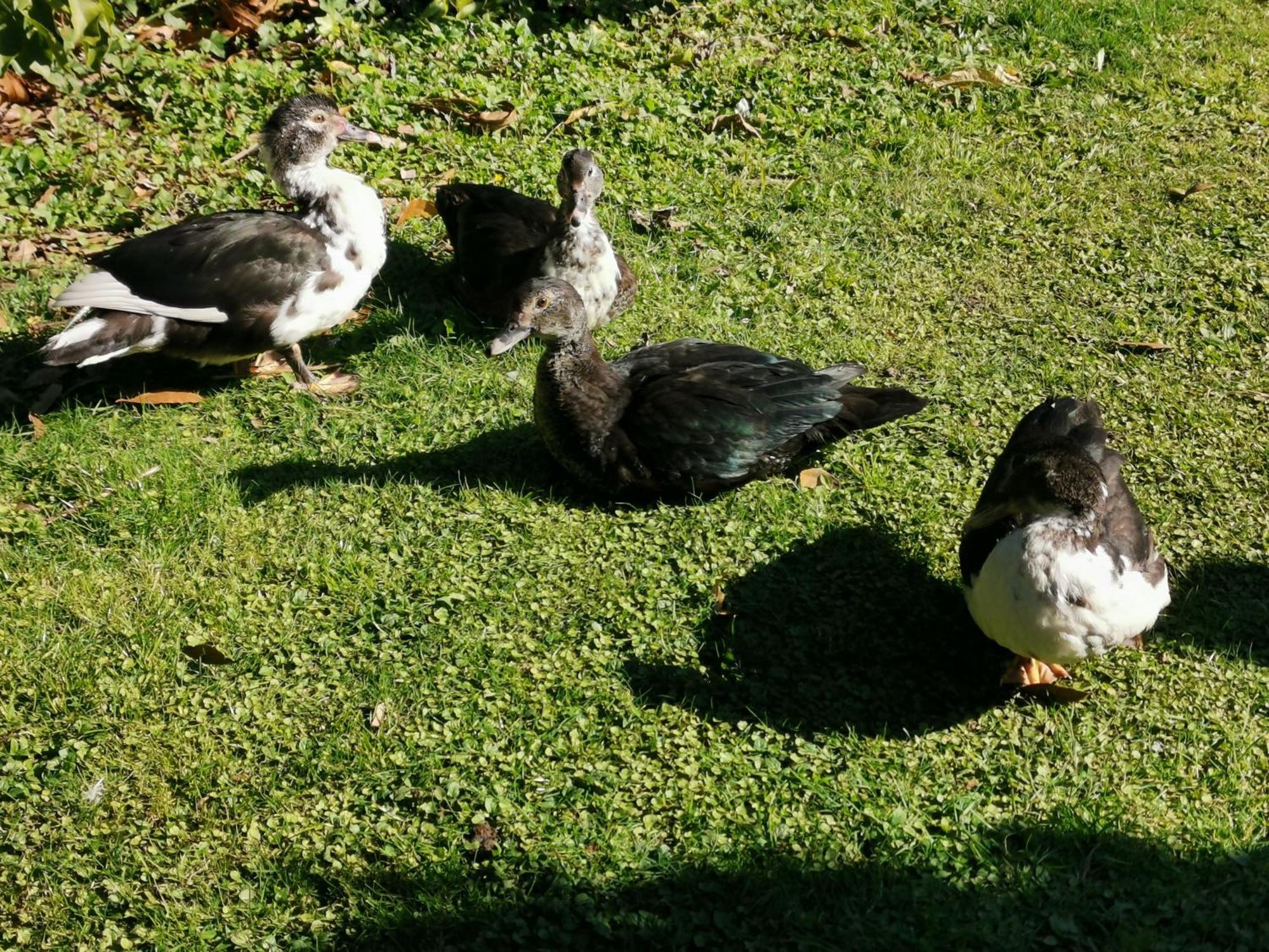 Farm Stay On Te Awa Cycleway Tamahere Bagian luar foto